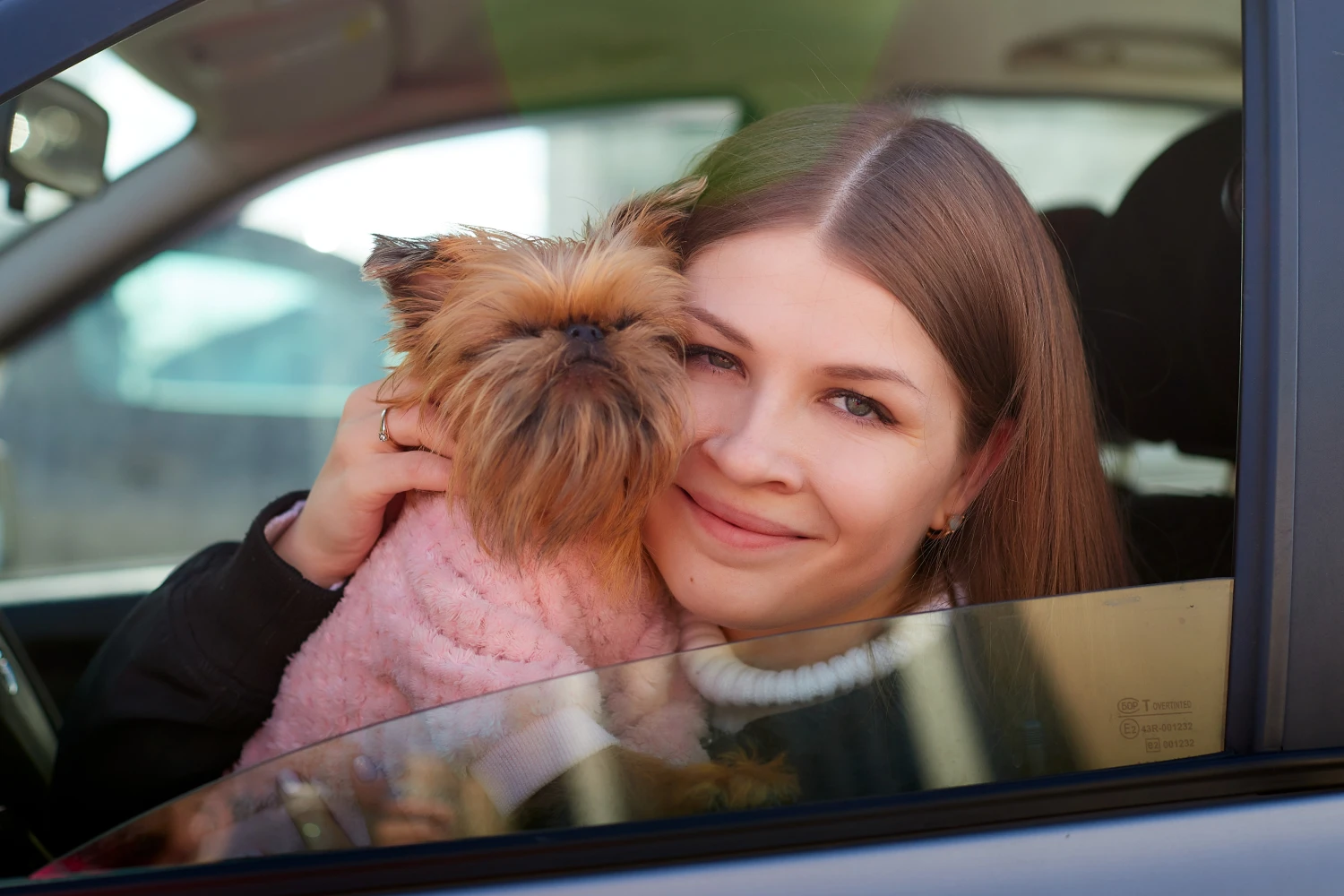 Kia Sportage Dog Car Seat for Brussels Griffons