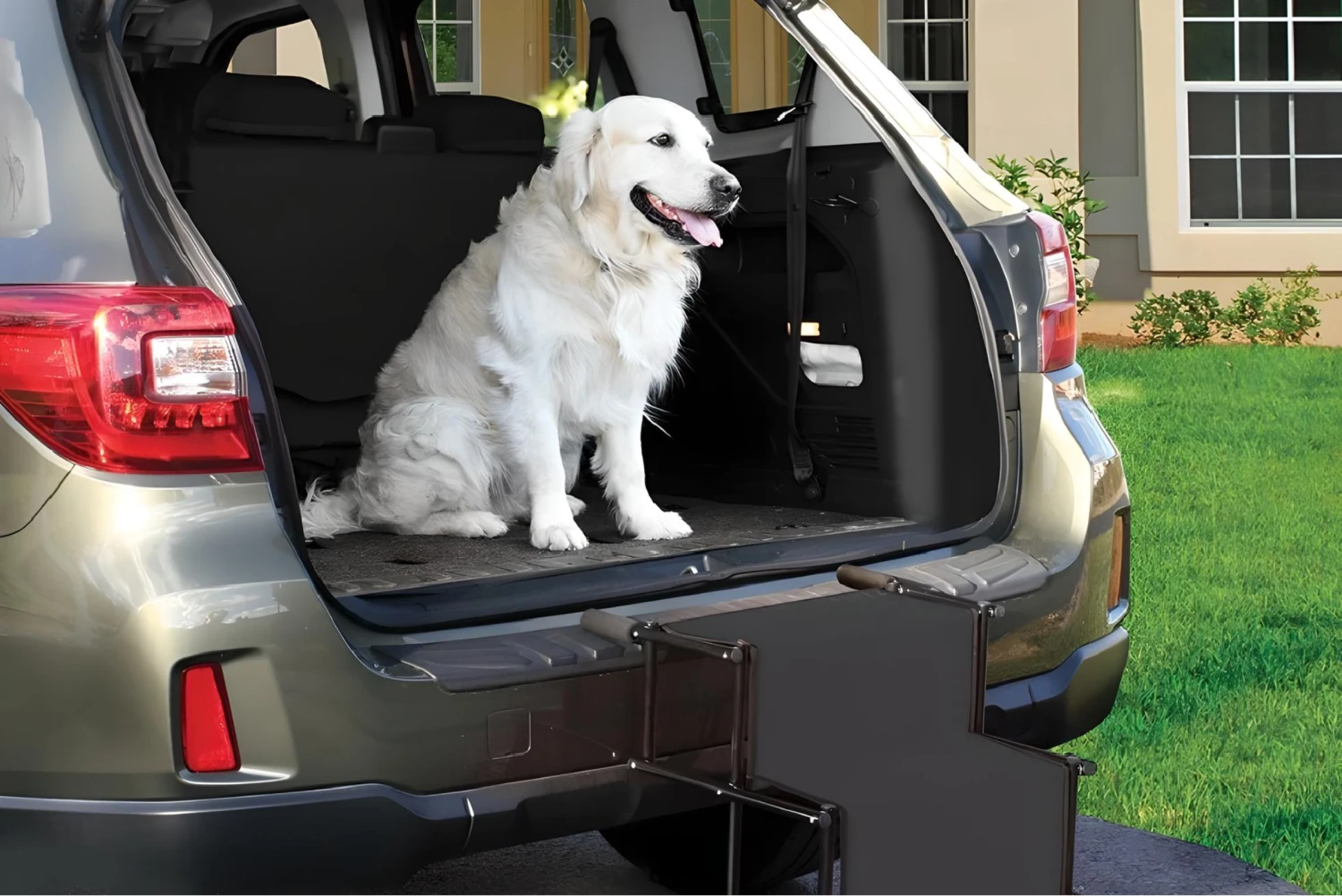 Subaru Outback trunk organizer