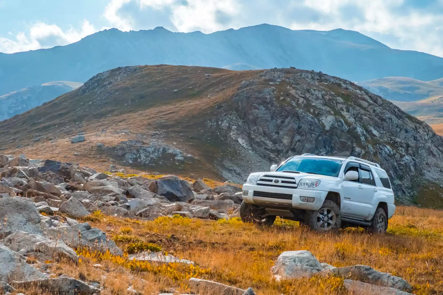 Toyota 4Runner trunk organizer