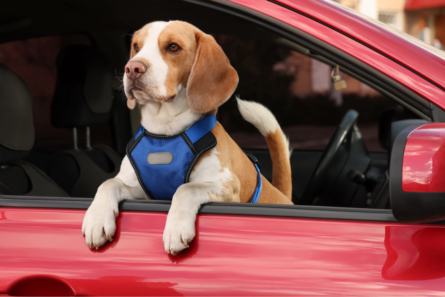 Chevrolet Blazer Dog Car Seat Belt for Beagles