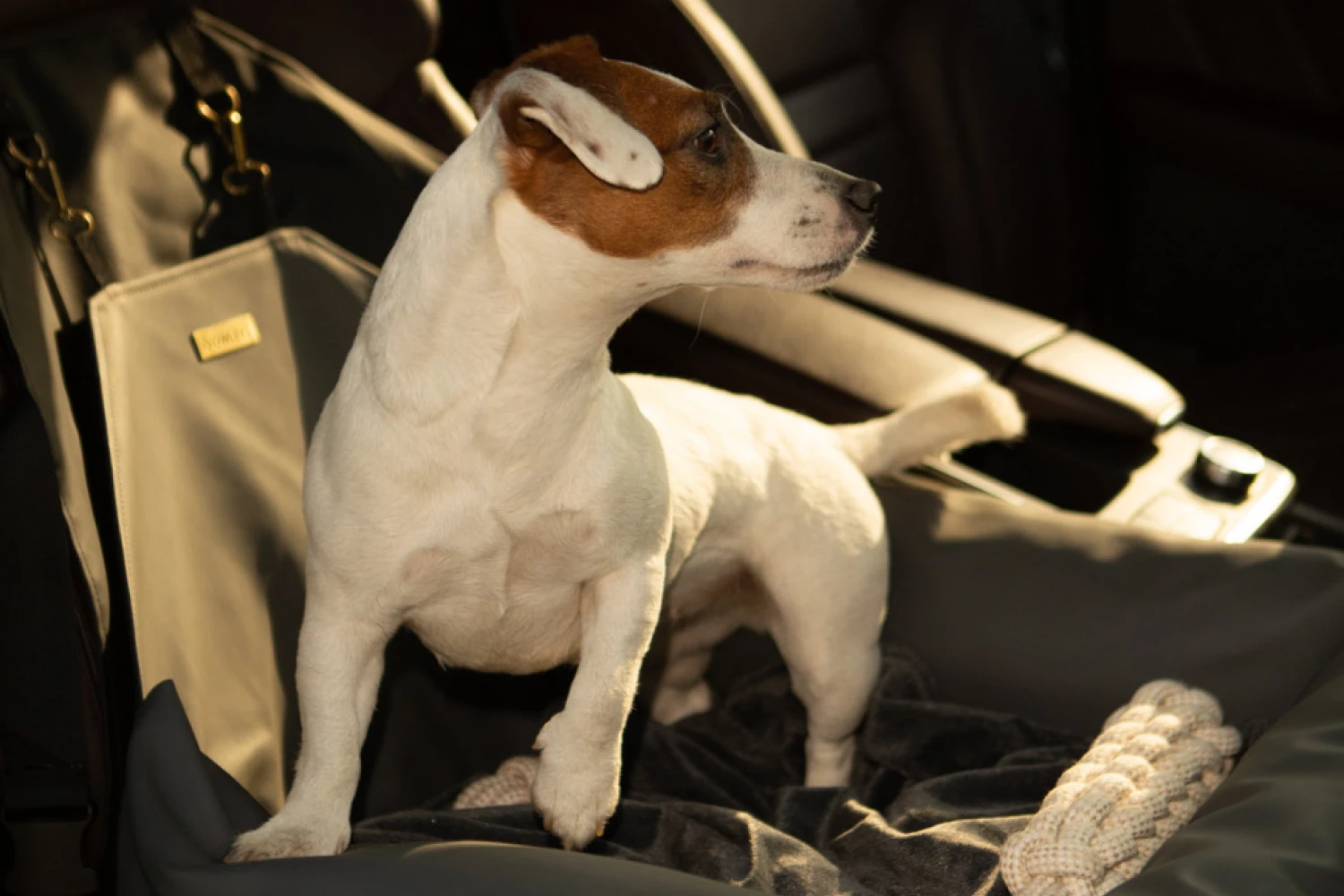 Chevrolet Silverado Dog Car Seat for Cocker Spaniels