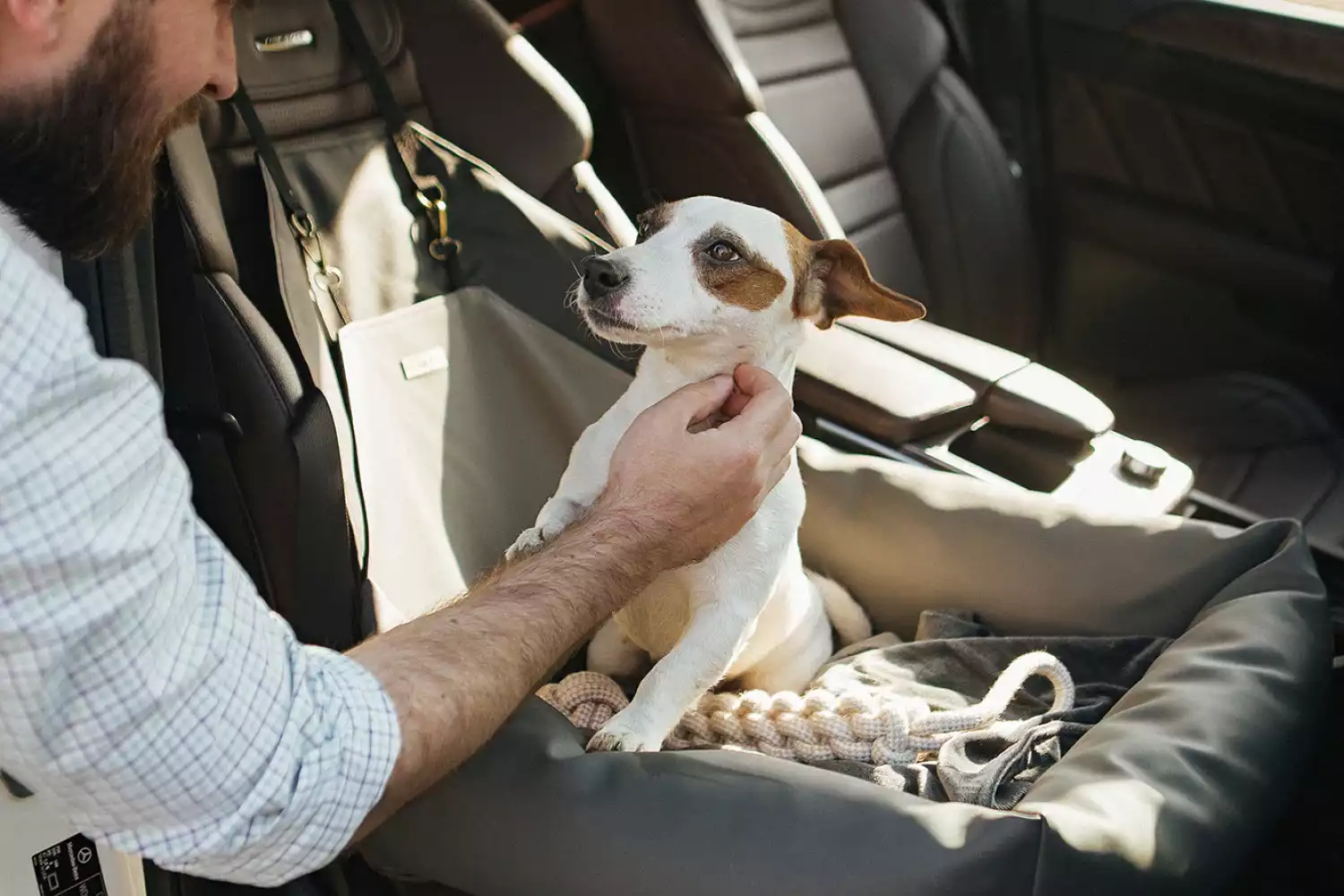 BMW X5 Dog Car Seat for Glen of Imaal Terriers