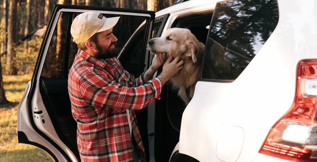 Beagles  Dog Safety Belt for Nissan Frontier