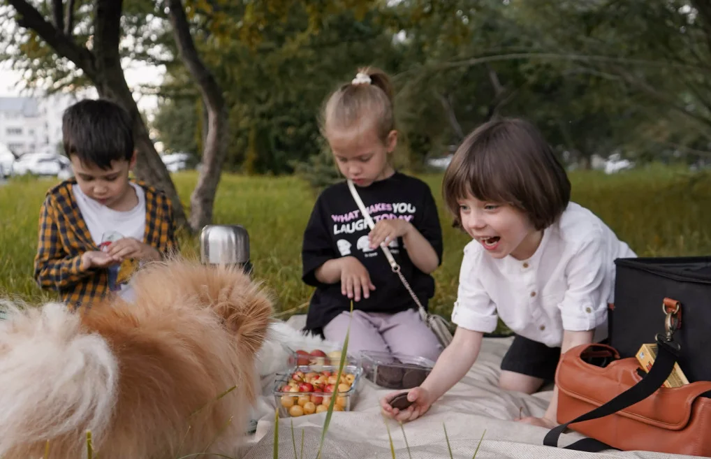 small folding picnic blanket